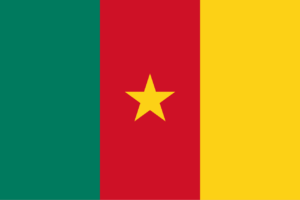 Talent Hiring in Cameroon